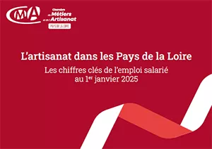 Les chiffres clés de l’emploi salarié au 1er janvier 2025