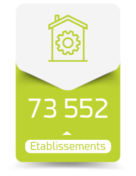 infographie - 73 552 Établissements