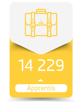 infographie - 14 229 Apprentis