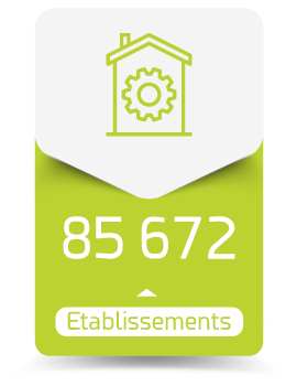 infographie - 85 672 Établissements